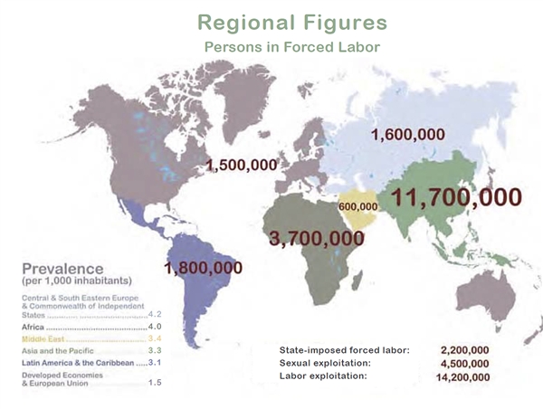 world-graphic-forced-labor